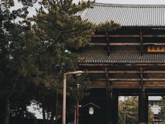 -奈良公园