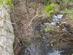 -百里山水画廊乌龙峡谷