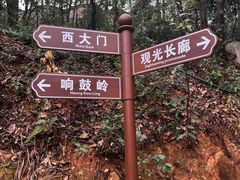 -岳麓山风景名胜区