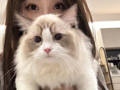 -美迦爱-牙专科·兔科·骨科诊疗中心(北苑店)