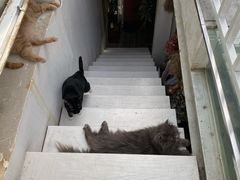 -VOYAGE COFFEE(北锣鼓巷店)