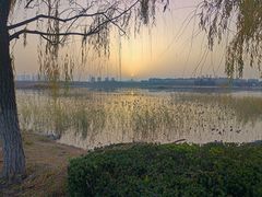 -天津东丽湖风景区