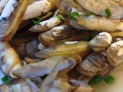 蛏子-沈家门海鲜夜排档(东港店)