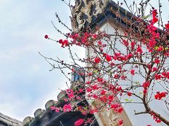 -乌山风景区