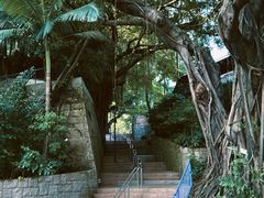 -九龙公园