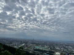 -杭州半山国家森林公园