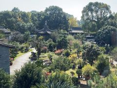 -万景茶庄·台州菜