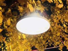 -串天下串串香(宽窄巷子店)