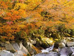 -光雾山旅游景区