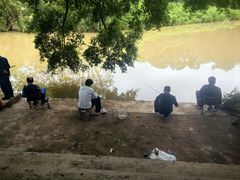 -南宁良凤江国家森林公园