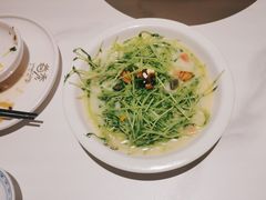 -首秀·四川料理(吾悦广场店)