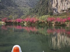 -靖西鹅泉风景区