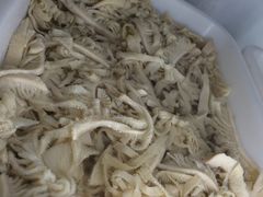 -金鼎雪山牦牛杂火锅(理县总店)