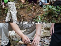 -呀诺达热带雨林