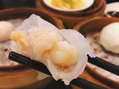 添运来虾饺皇-添运来(茶园奥园广场店)