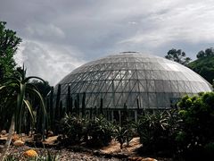 -深圳仙湖植物园