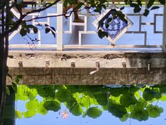 -荔湾湖公园