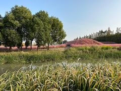 -嘉北郊野公园