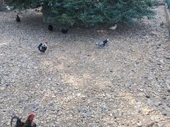 -南京金牛湖风景区