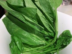 -东道煮火锅(新城东路店)