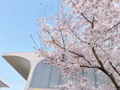 -龙美术馆(西岸馆)