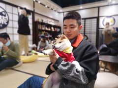 -逗柴咖啡屋·狗咖猫咖宠物桌游