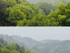 -云碧峰国家森林公园