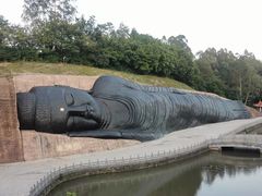 -三水森林公园