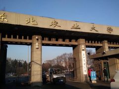 校门-东北农业大学