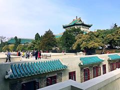 -武汉大学-樱园
