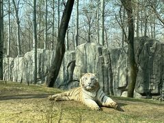 -北京野生动物园