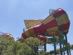 -苏州乐园森林水世界