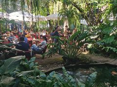 -Fern Forest Cafe