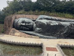 -三水森林公园