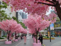 -东莞松山湖万象汇