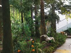 -同里国家湿地公园