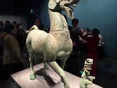 -广西壮族自治区博物馆