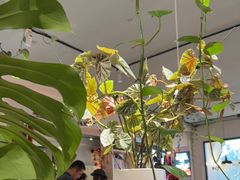 -懒人盐府人家·自贡大麻鱼(安贞店)