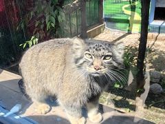-青藏高原野生动物园