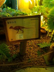 -恐龙探索乐园(磁器口店)