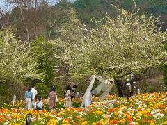 -名花谷生态庄园