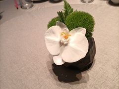 -南堂馆·新川菜(春熙路店)