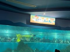 -苏州海洋馆