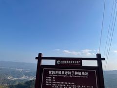 -紫鹊界梯田景区