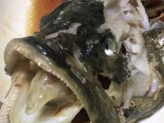 清蒸老虎斑-南海渔家•海鲜•正宗海南菜(海棠湾店)