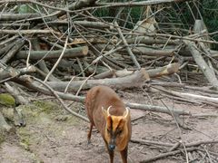 -重庆动物园·东二门售票处