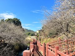 -广州市流溪河国家森林公园