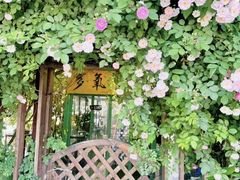 -嘉定紫藤园