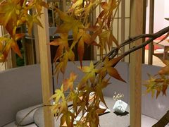 -梅间堂茶馆(绿地缤纷城店)