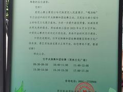 -西双版纳原始森林公园